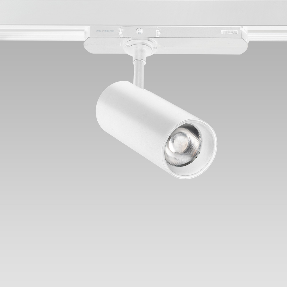 Track 220V - DALI DECK spotlight for 220V electrified track, ideal for interior accent lighting.