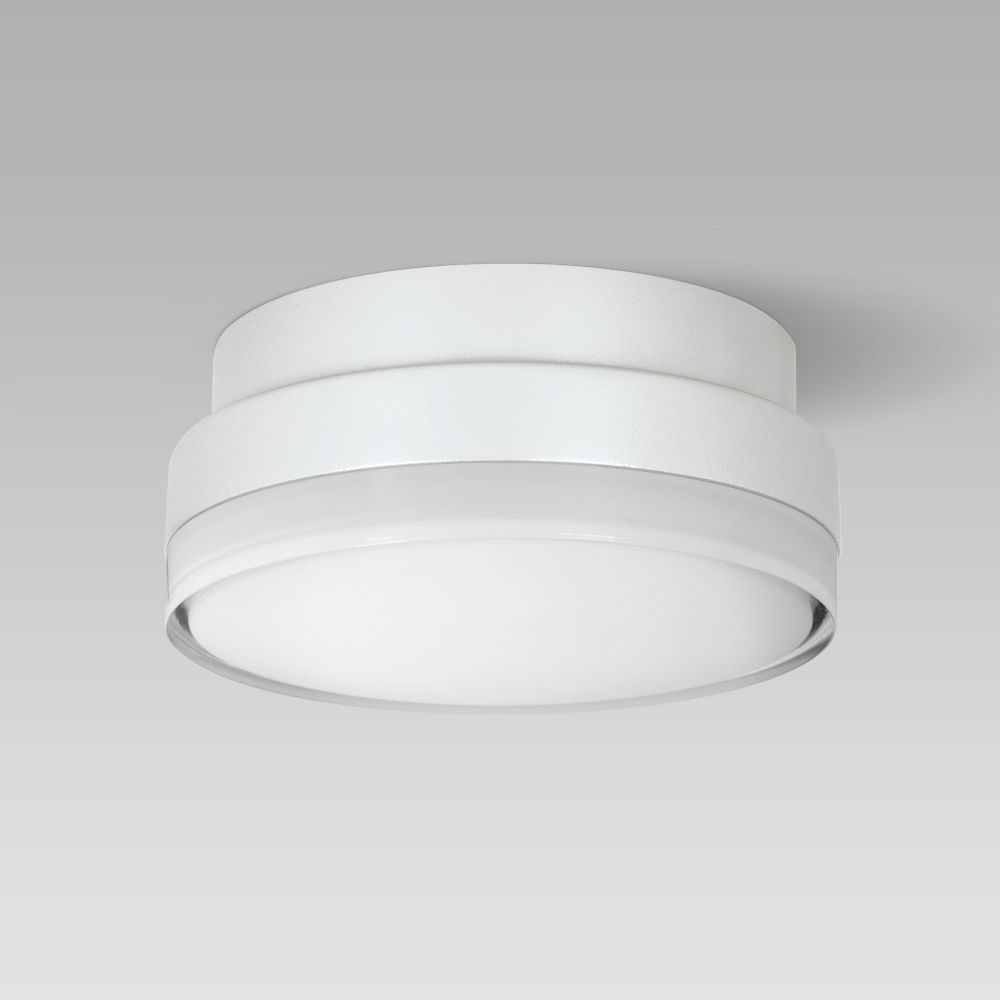 Ceiling fittings  Compact-size and resistant ceiling or wall-mounted luminaire for indoor and outdoor lighting